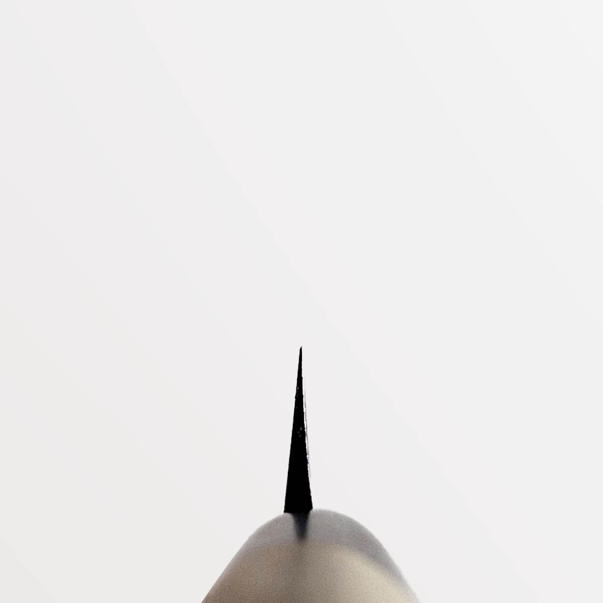 24cm Yanagiba, Shirogami II - TOJIRO — bilde 2