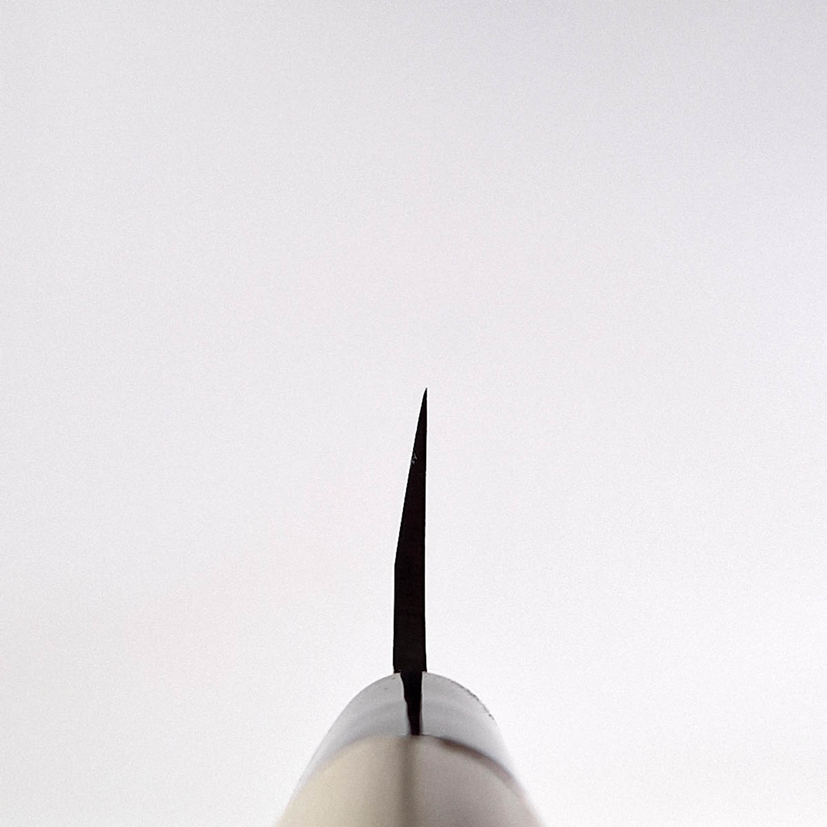 24cm Yanagiba - MASAHIRO — bilde 5