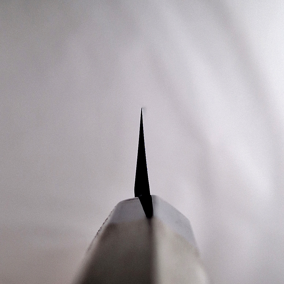 30cm Yanagiba, Shirogami II - HARUYUKI — bilde 5