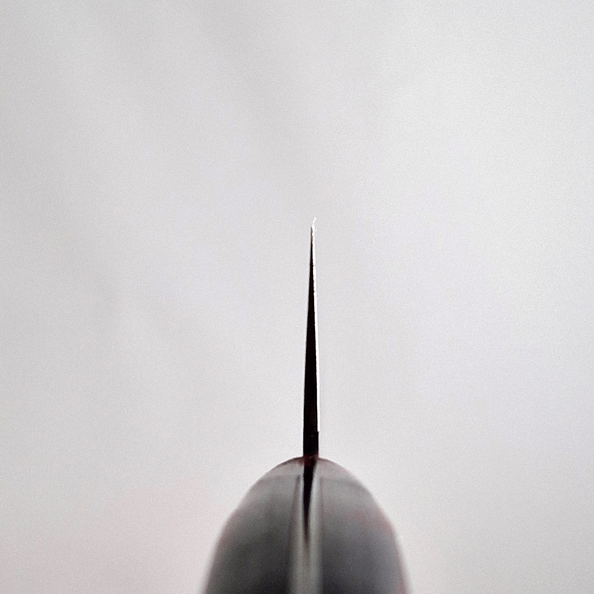 21cm Kokkekniv VG10 - SAKAI AKIMASA — bilde 6