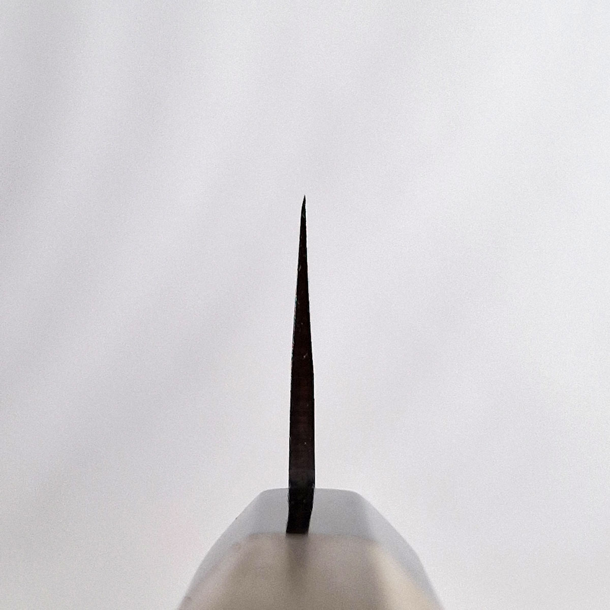 18cm Kokkekniv Super Aogami - SAKAI KIKUMORI — bilde 3