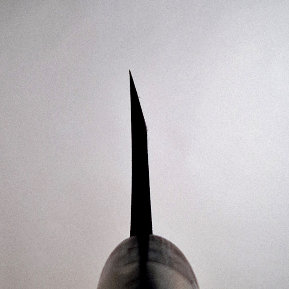 18cm Deba, Venstre hendt, Shirogami II - TOJIRO — bilde 4