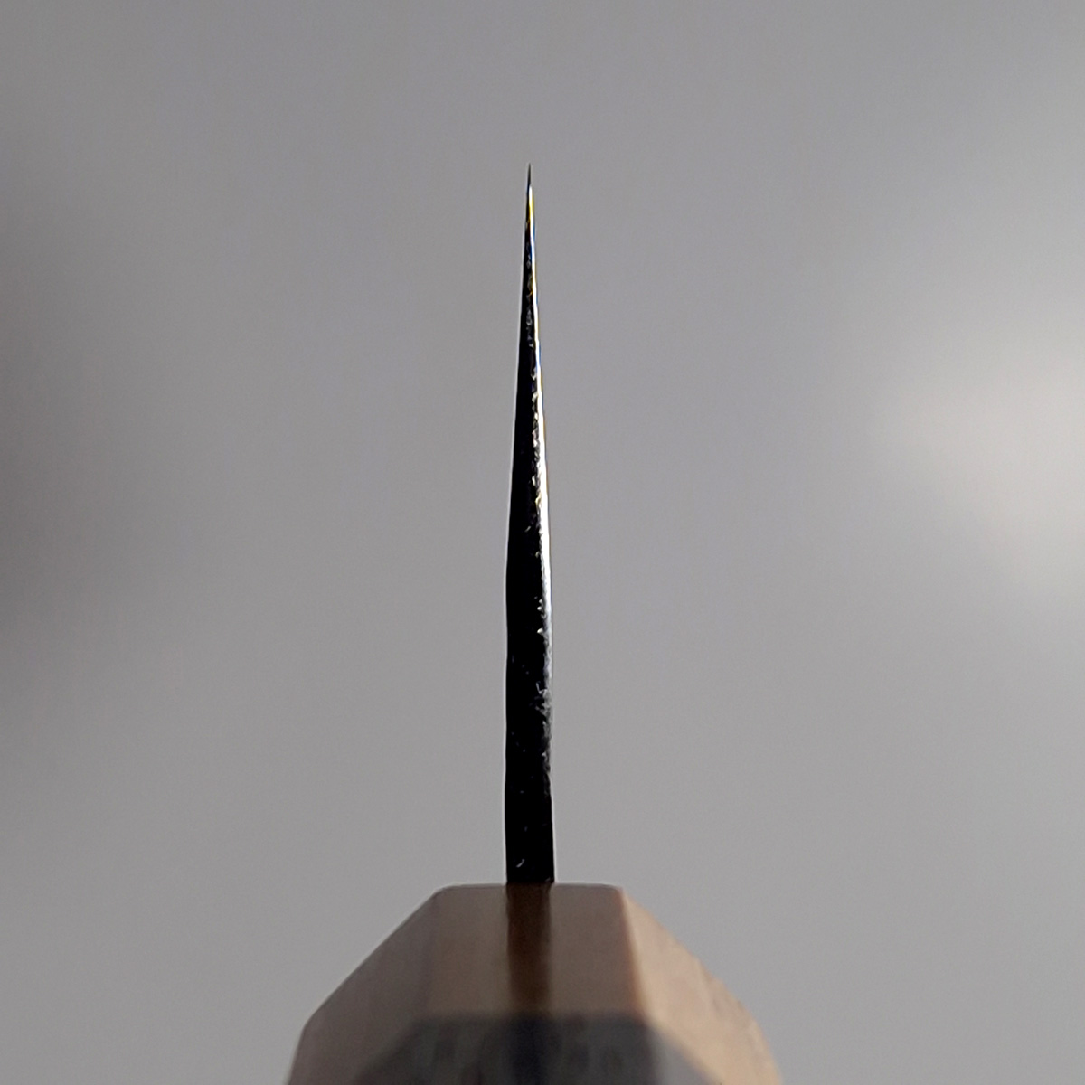24cm Kokkekniv Senko EI, SG2 - YU KUROSAKI — bilde 5