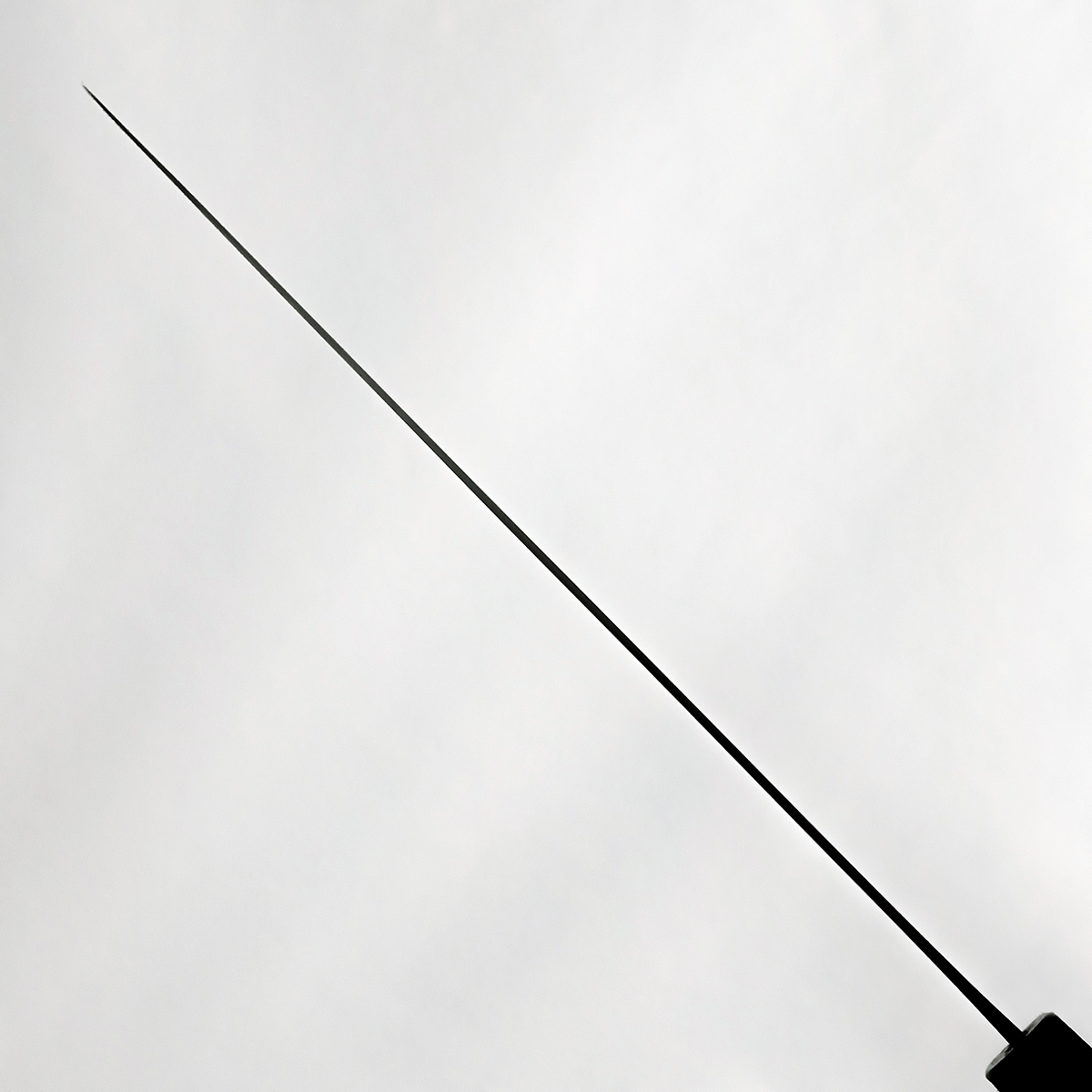 27cm Sujihiki VG10 "Peacock Handle" - — bilde 3
