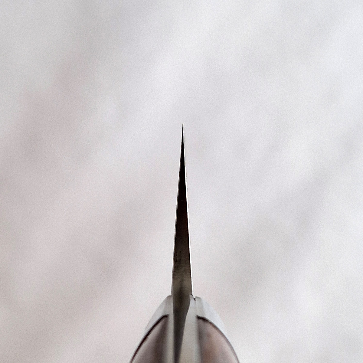 18cm Kokkekniv "Ironwood" damask, R2 - SAJI — bilde 4