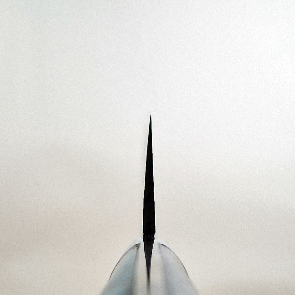 24cm Sakimaru, Damask, SG2 - SAJI — bilde 5