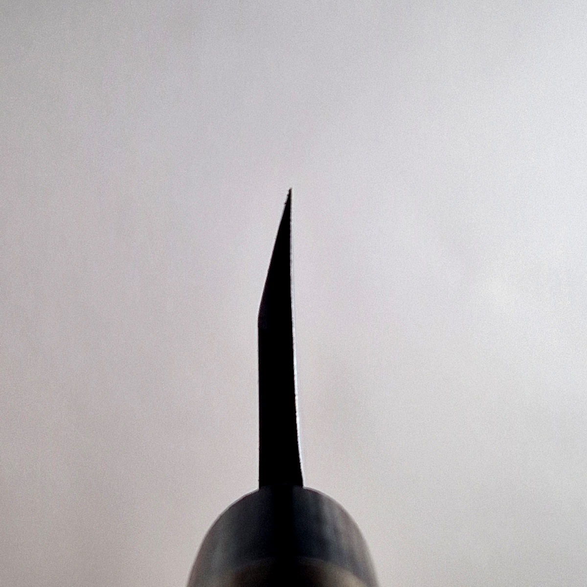 10,5cm Deba, Shirogami II - TOJIRO — bilde 5