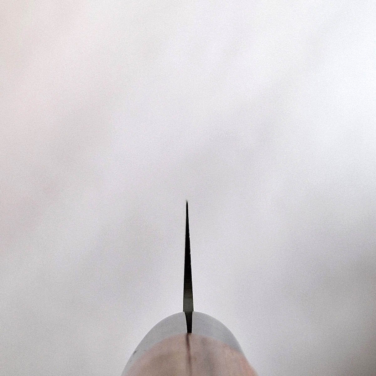 22,5cm Brødkniv - KAI SEKI REDWOOD — bilde 2