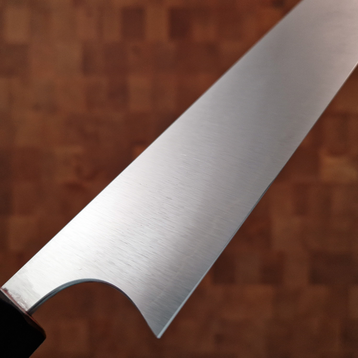 27cm Sujihiki R2 Kotetsu - SHIBATA — bilde 4