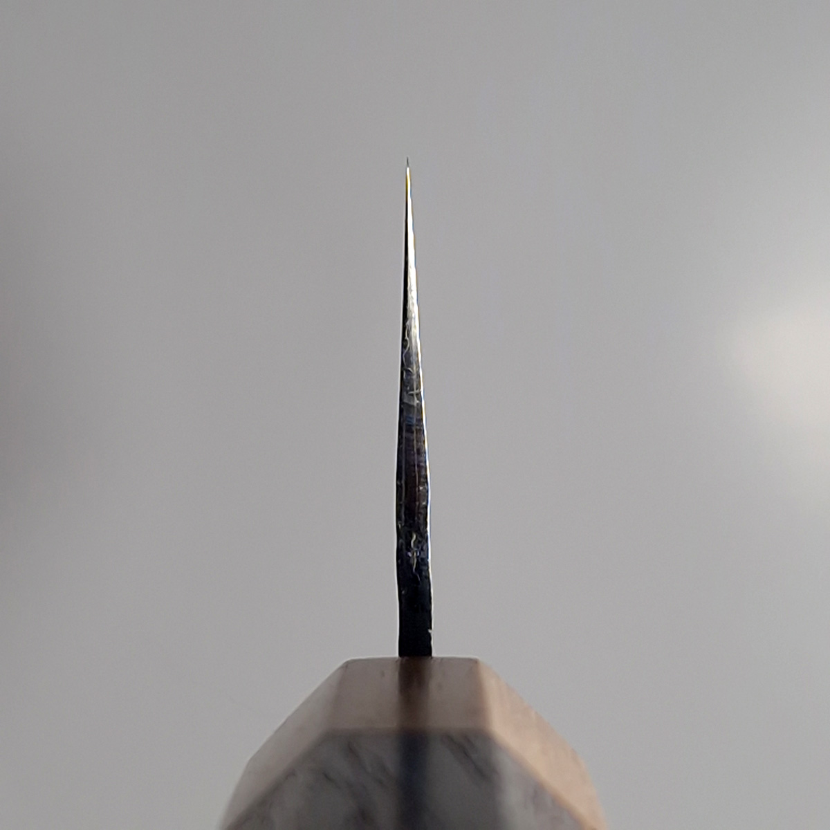 16,5cm Bunka Senko EI, SG2 - YU KUROSAKI — bilde 4