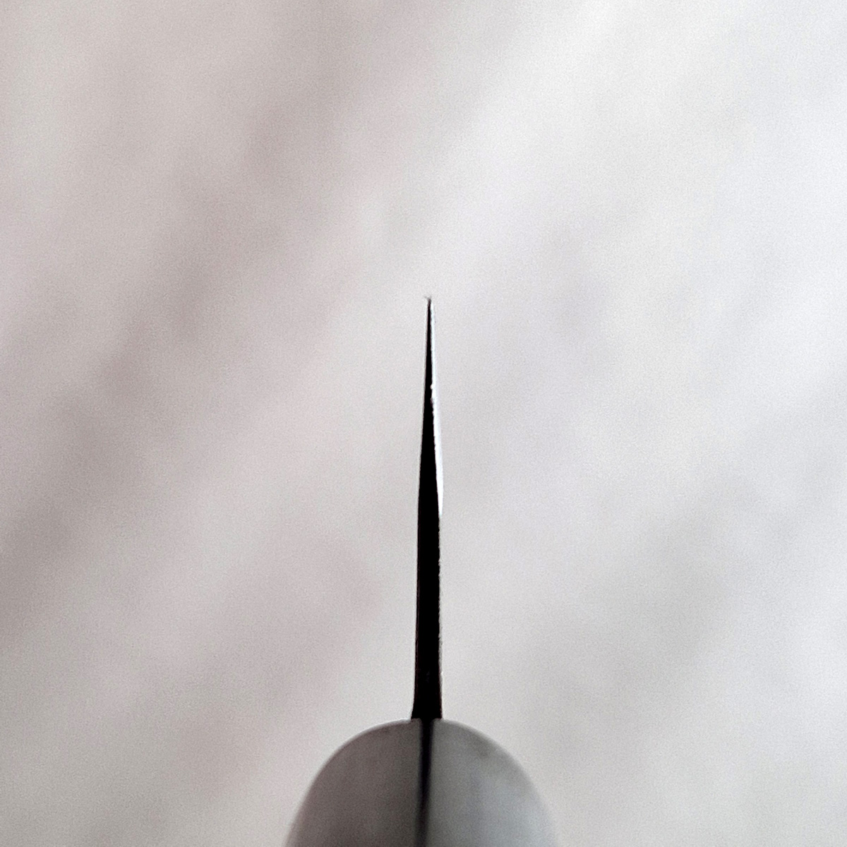 17cm Funayuki, Aogami - Yoshida — bilde 5