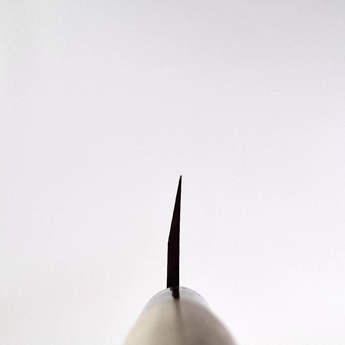 27cm Yanagiba - MASAHIRO — bilde 5