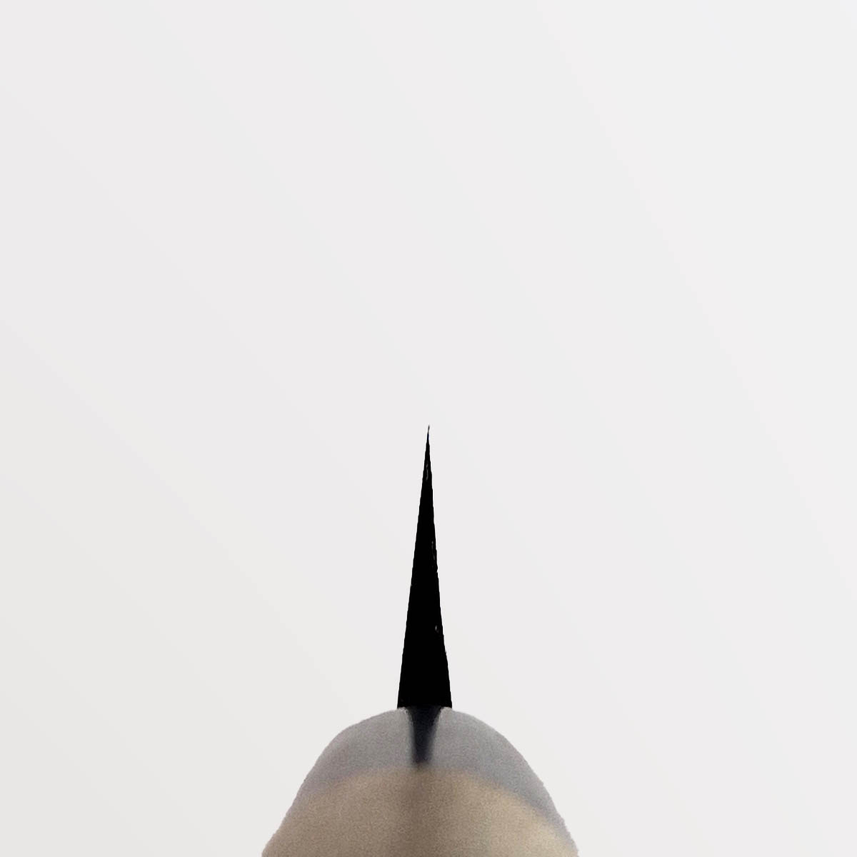 27cm Yanagiba, Shirogami II - TOJIRO — bilde 4