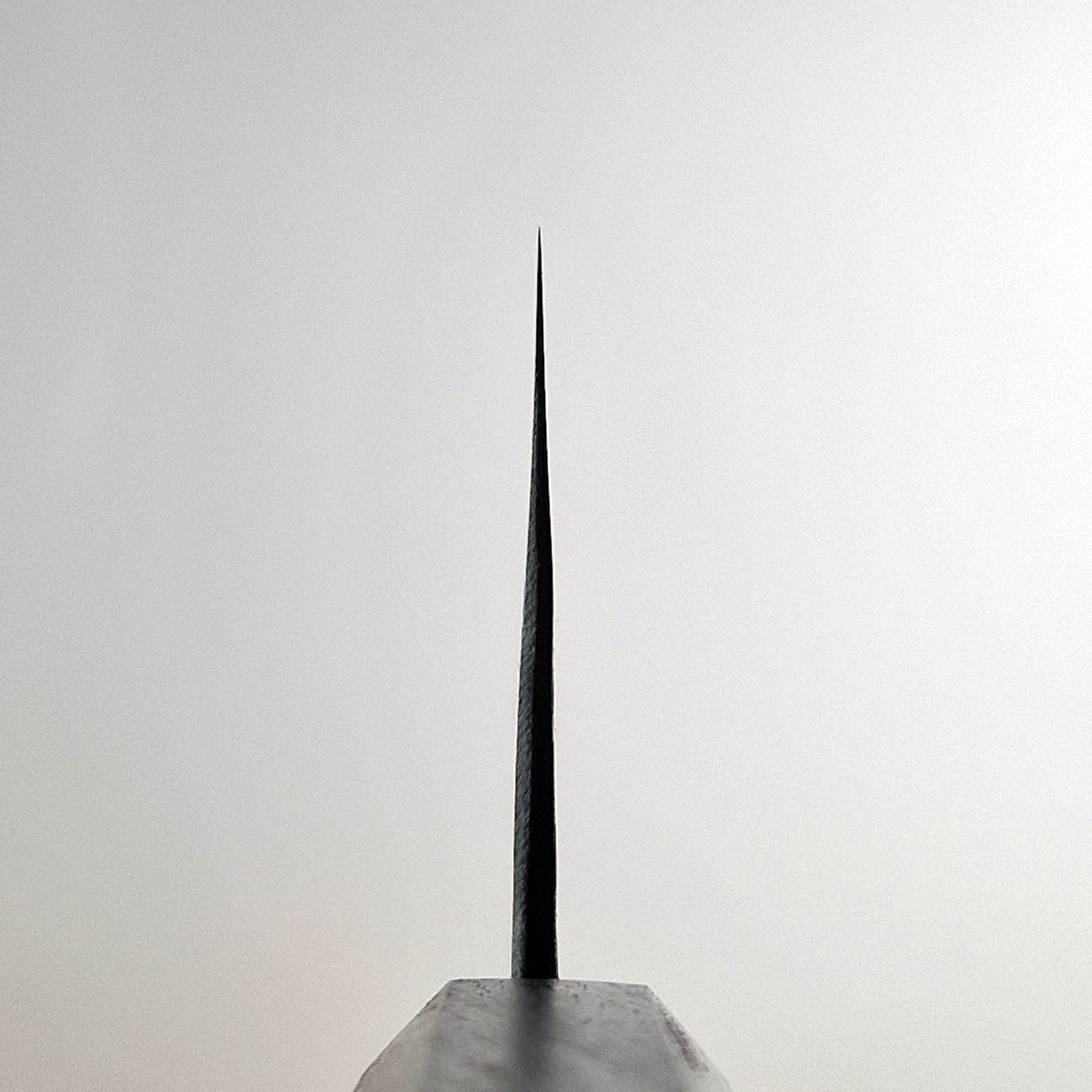 24cm Kokkekniv Aogami II, Kurochi - MINOMO KAJIYA — bilde 5