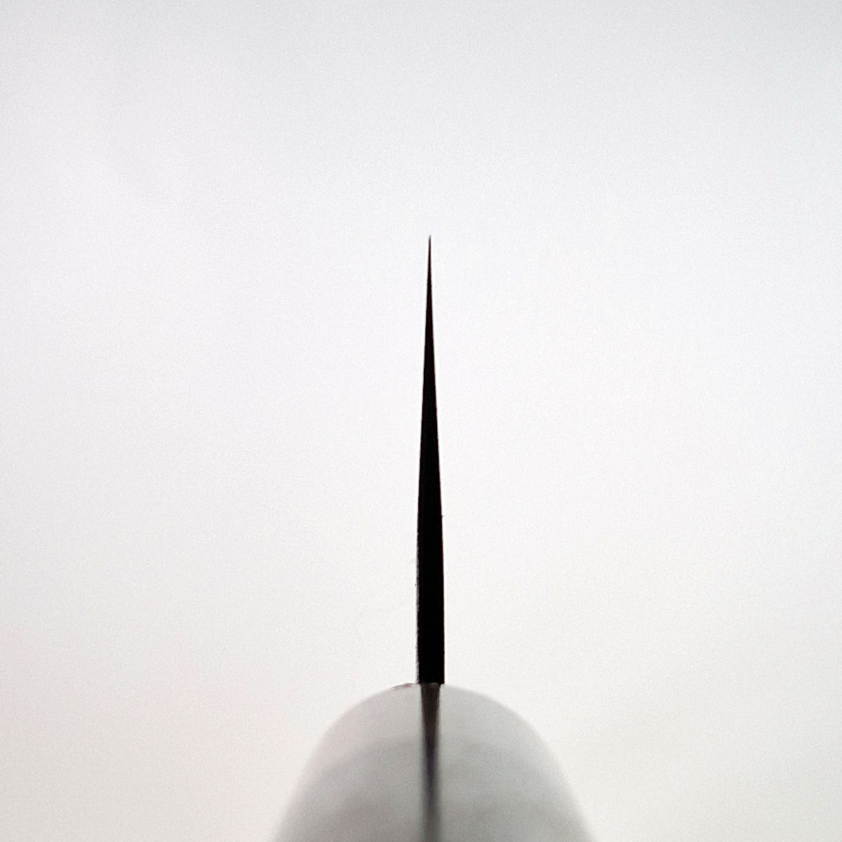 24cm Kokkekniv, Kurouchi, Super Aogami - HARAUYUKI — bilde 5