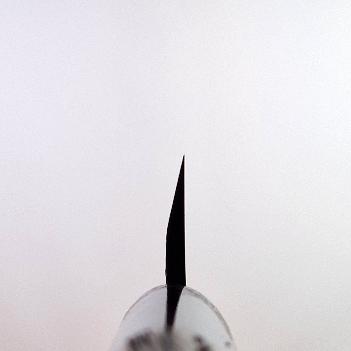 12cm Kochobo, Shirogami II (Laminat) - SHIRO KAMO — bilde 6