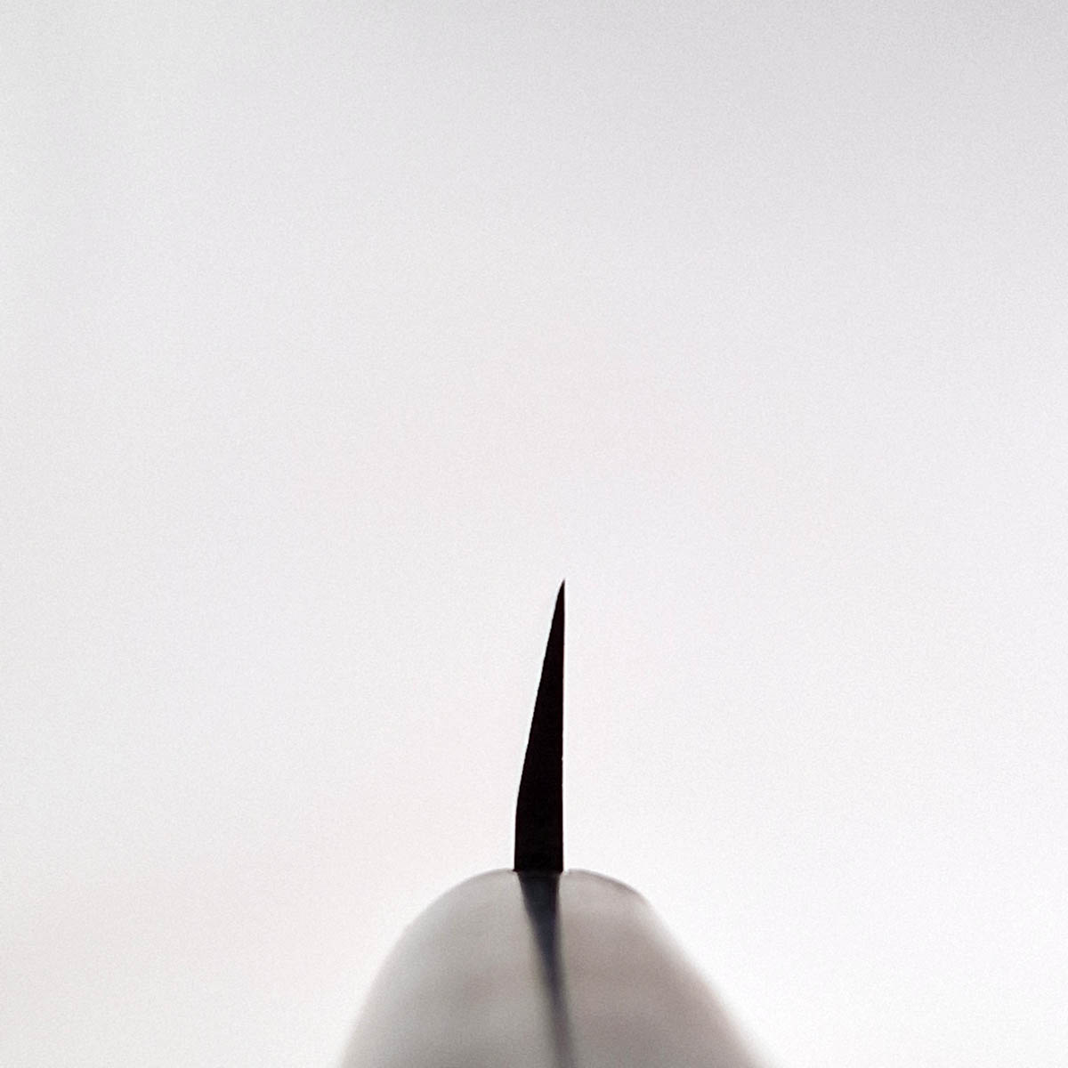 24cm Tradisjonell Yanagiba - MASAHIRO — bilde 4