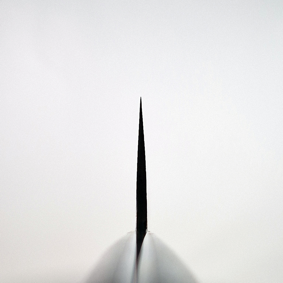 39cm Sakimaru, Damask, SG2 - SAJI — bilde 2