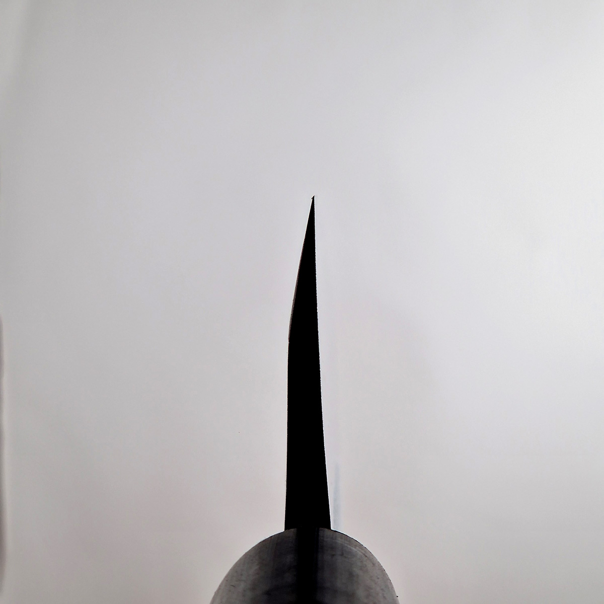 18cm Deba, Shirogami II - TOJIRO — bilde 3