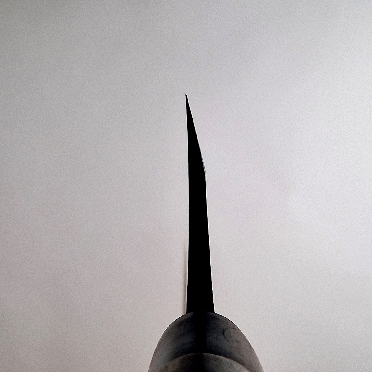 21cm Deba, Venstre hendt, Shirogami II - TOJIRO — bilde 3