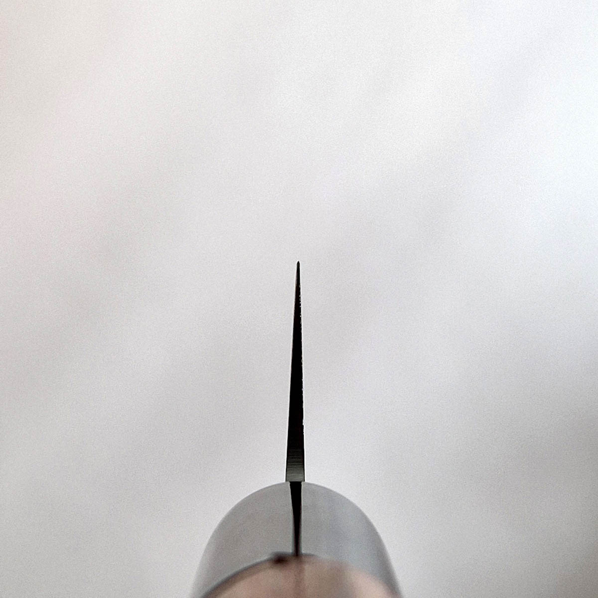 15cm Universalkniv - KAI SEKI REDWOOD — bilde 4