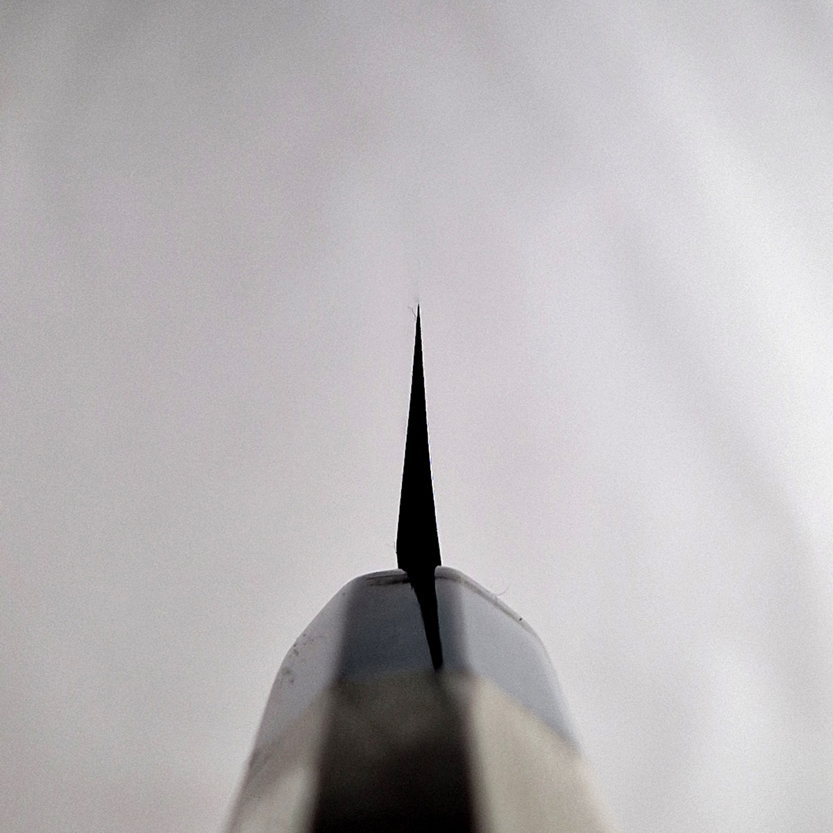 24cm Yanagiba, Shirogami II - HARUYUKI — bilde 2