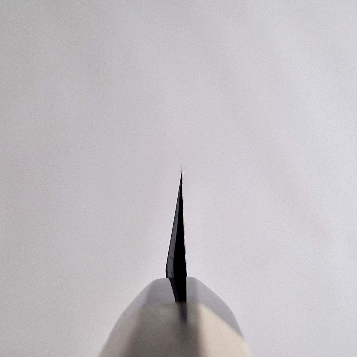 27cm Yanagiba, Shirogami II - HARUYUKI — bilde 4
