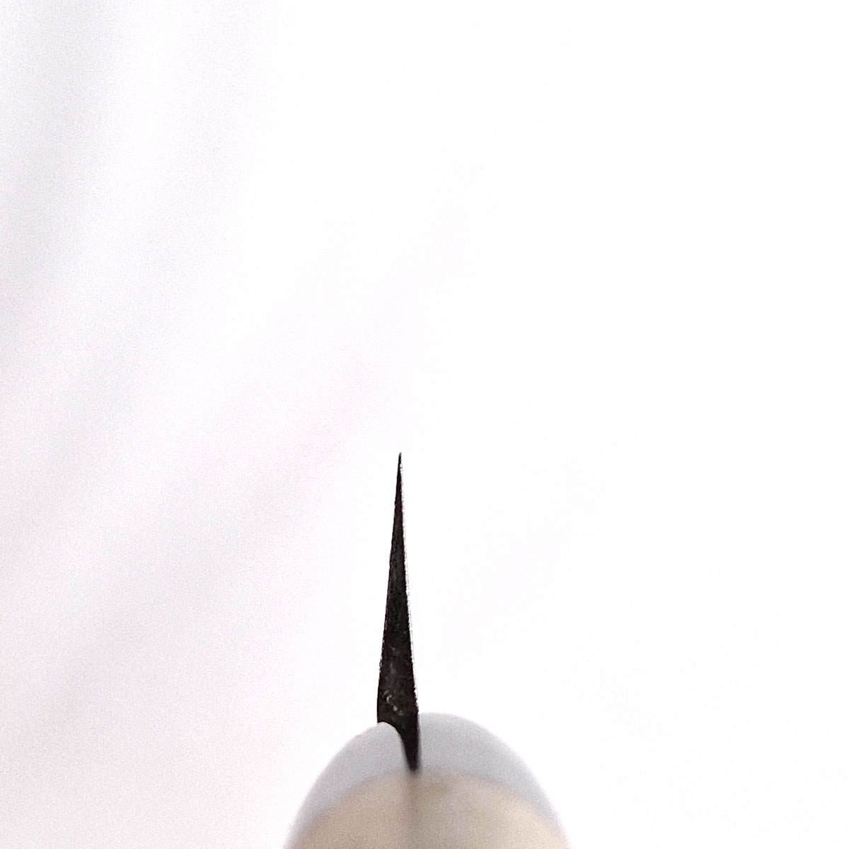 21cm Yanagiba, Molybden Vanadium - SAKAI KIKUMORI — bilde 5