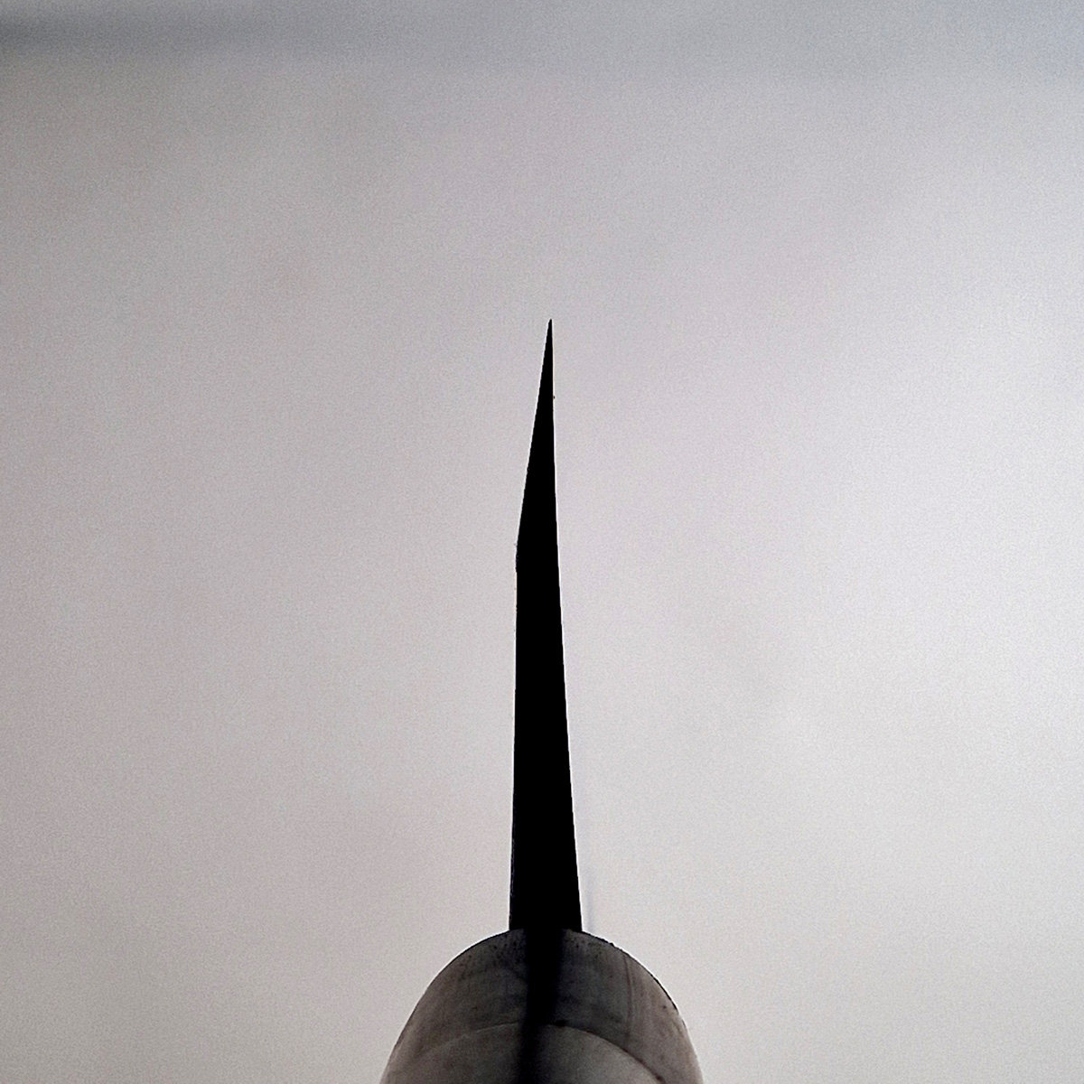 21cm Deba, Shirogami II - TOJIRO — bilde 2