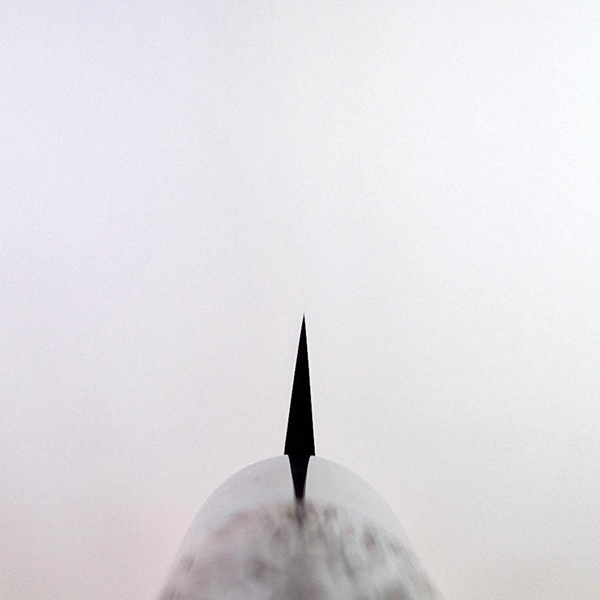 21cm Yanagiba, Shirogami II (Laminat) - SHIRO KAMO — bilde 2
