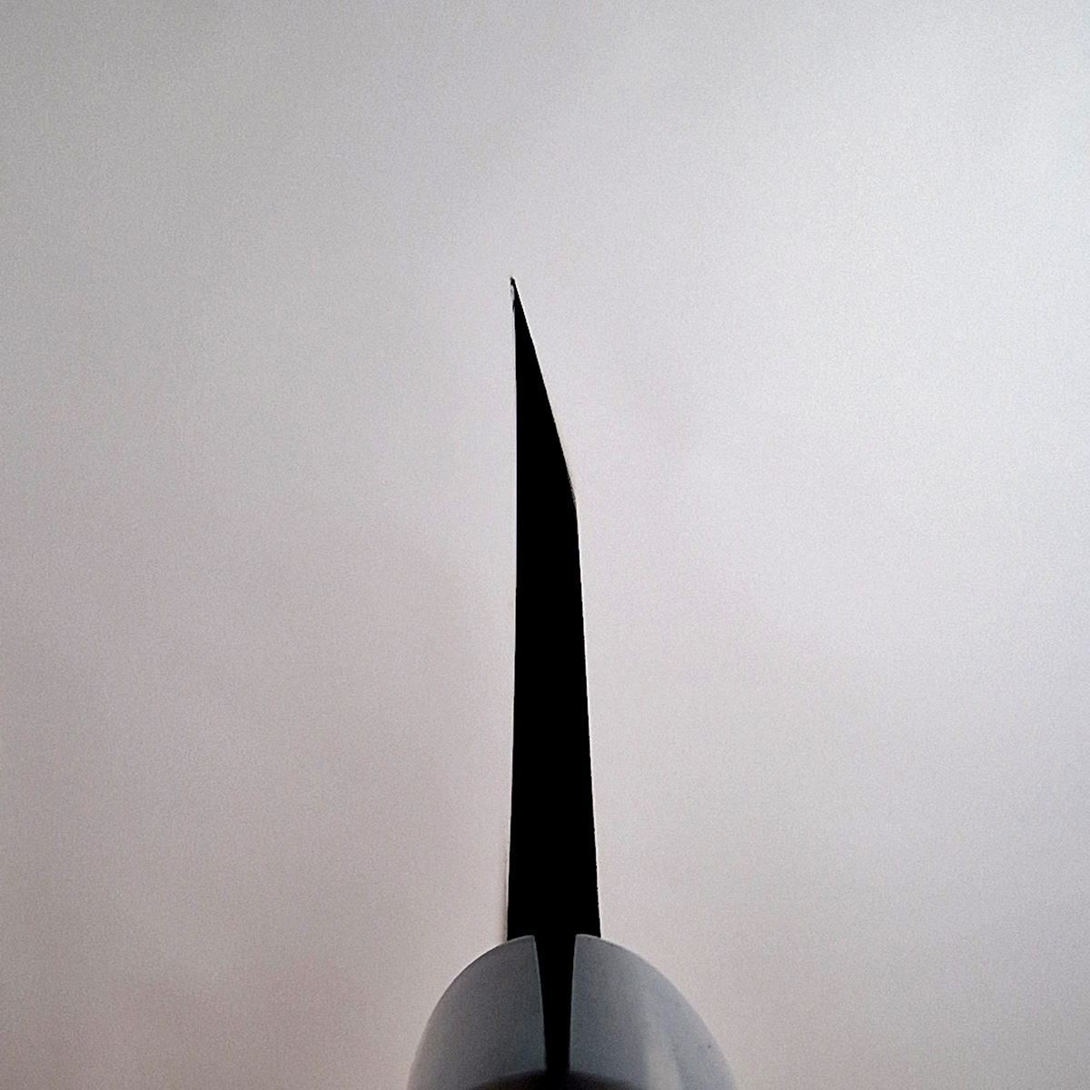 16,5cm Deba, Venstre hendt, Shirogami II - TOJIRO — bilde 4