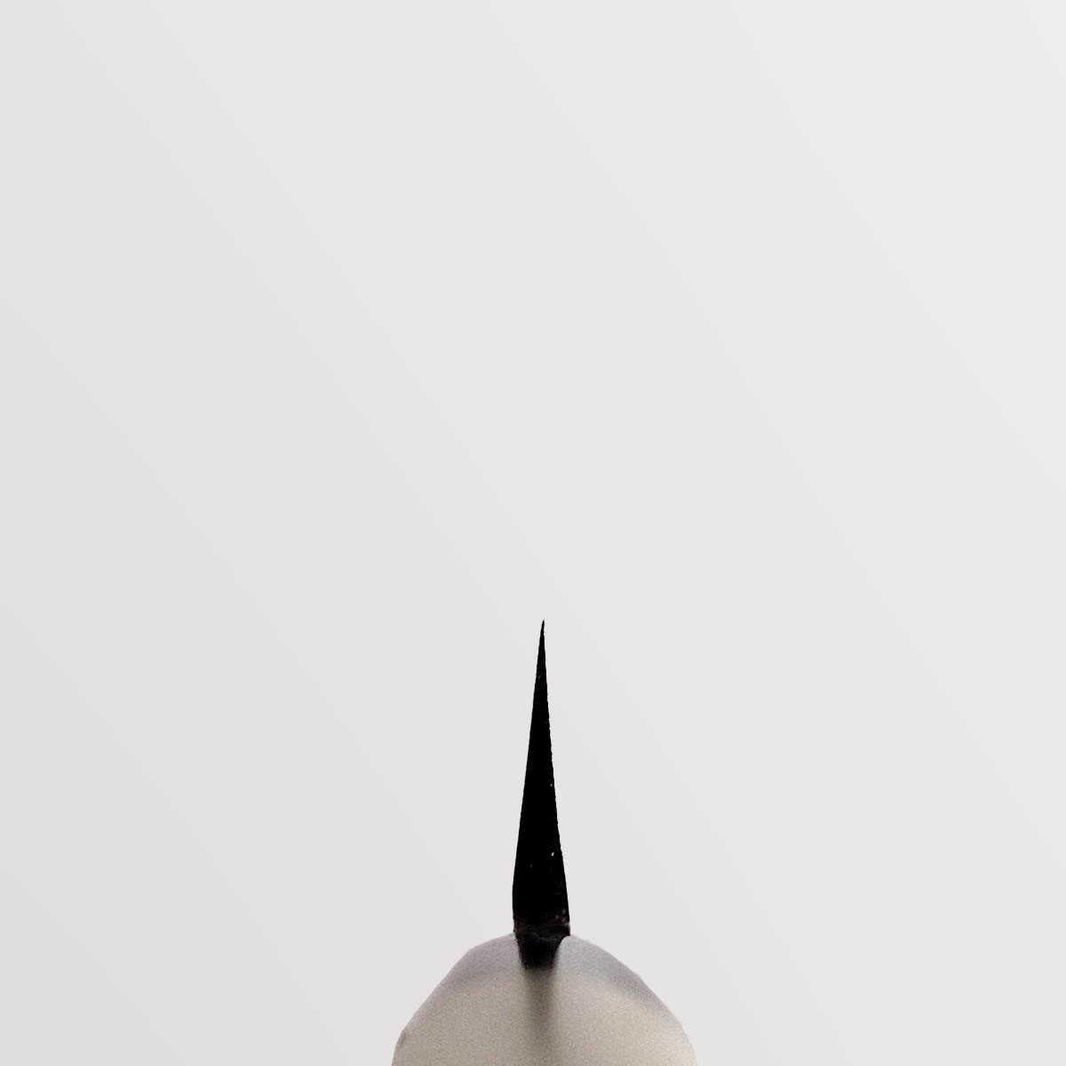21cm Yanagiba, Shirogami II - TOJIRO — bilde 4