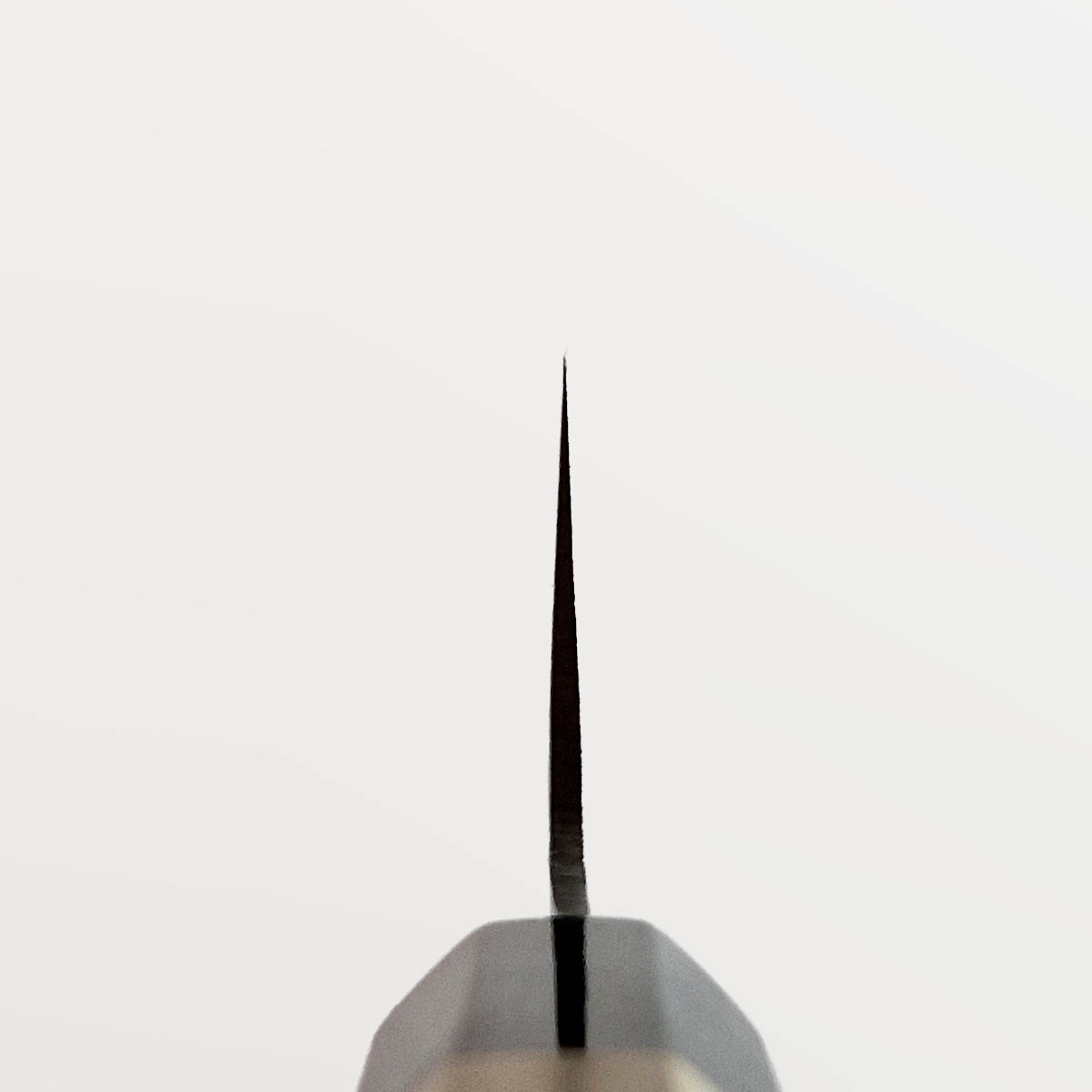 24cm Kokkekniv N10 - SAKAI AKIMASA — bilde 2