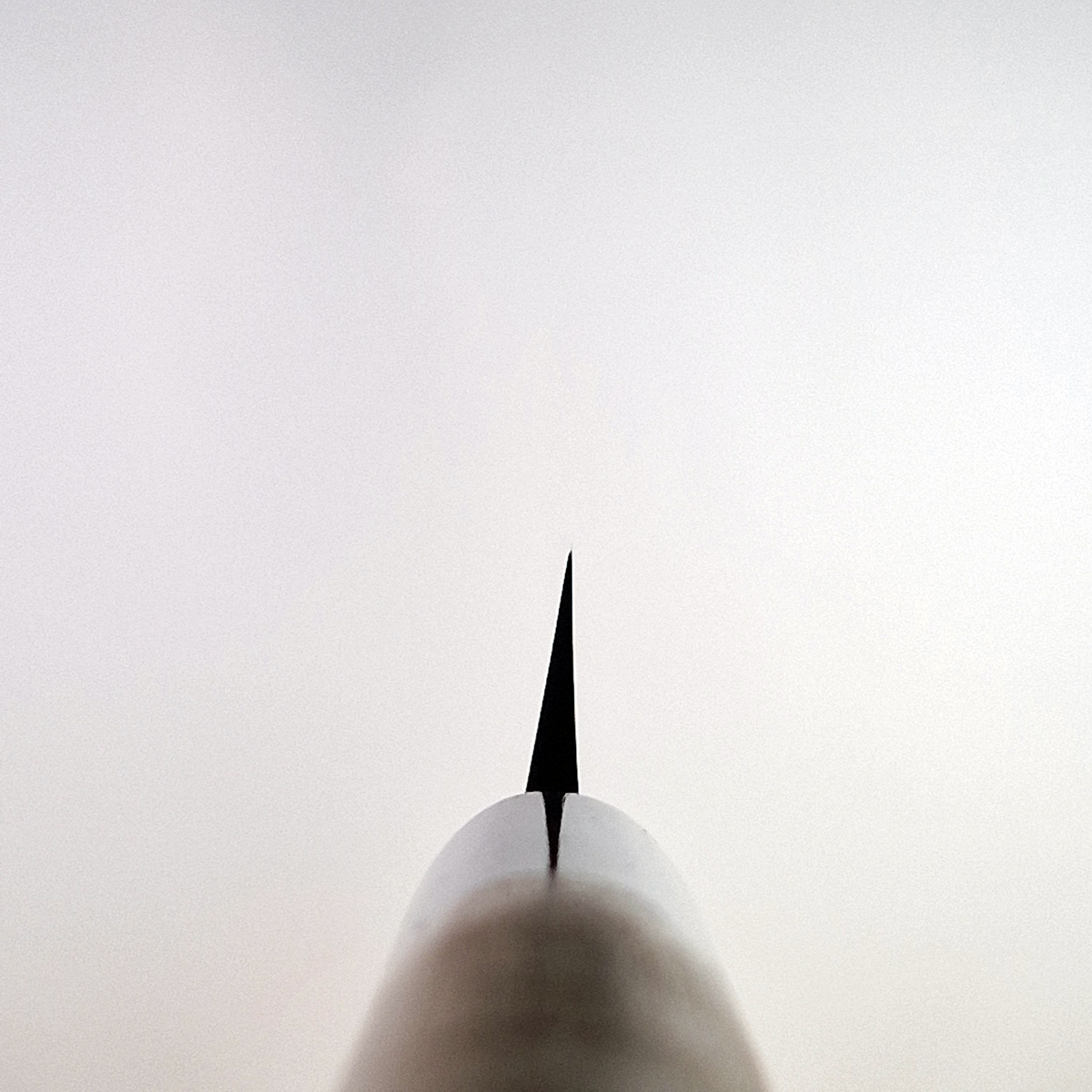 24cm Yanagiba, Shirogami II, inkl Saya - MASAMOTO — bilde 6