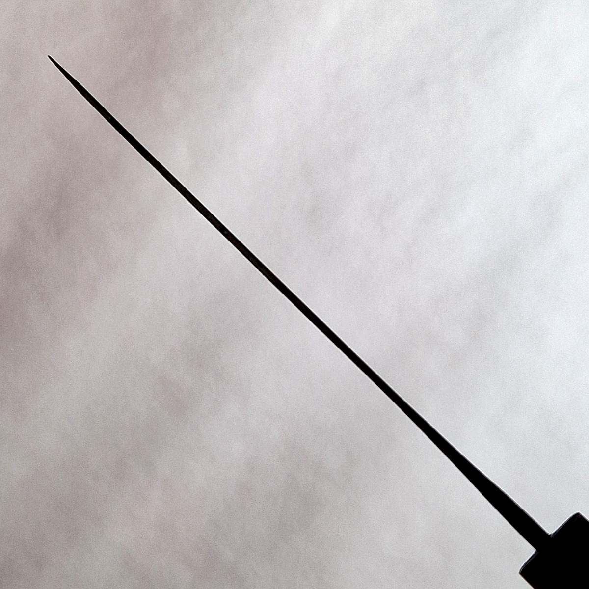 17cm Funayuki, Aogami - Yoshida — bilde 4