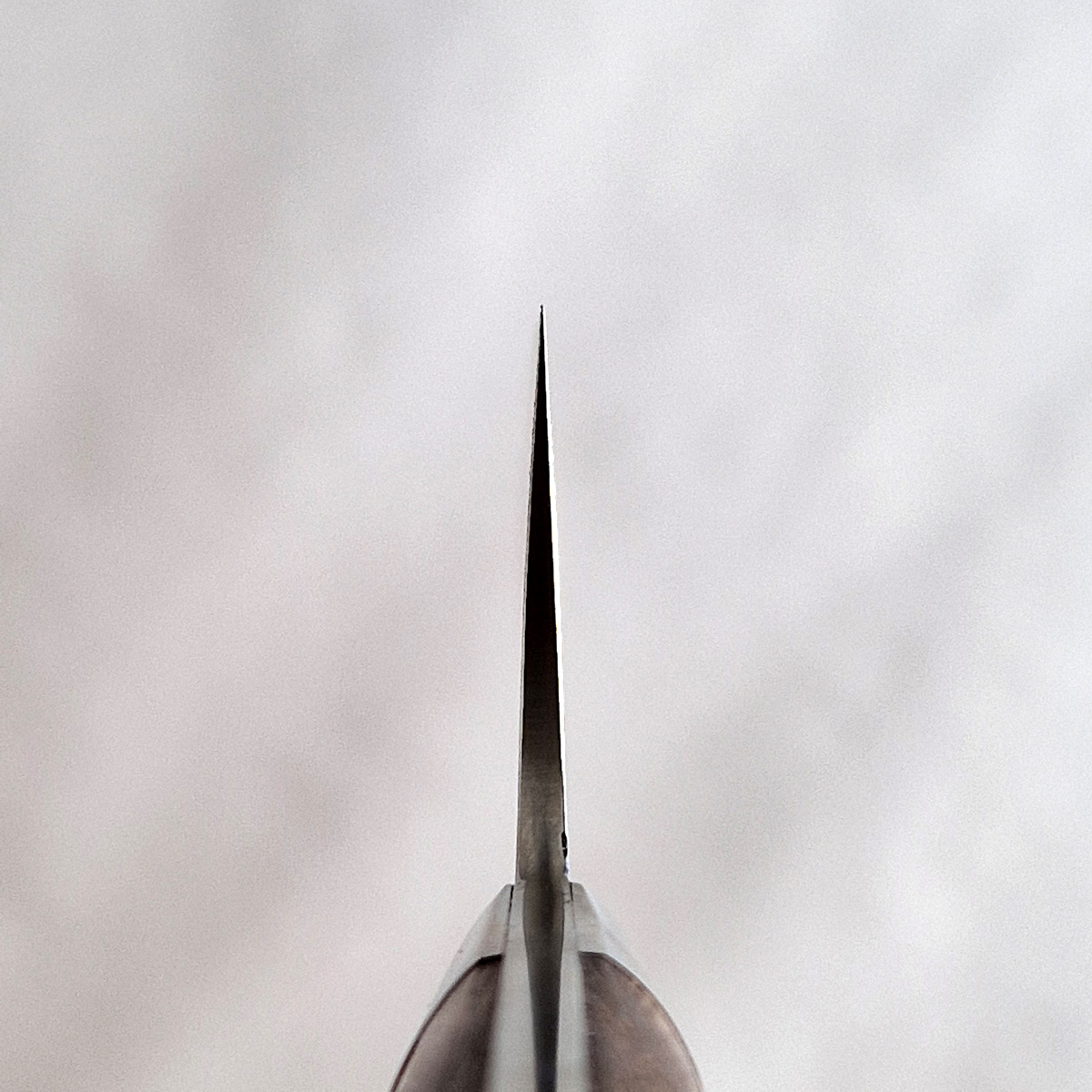 16,5cm Grønnsakskniv (Santoku) "Ironwood" damask, R2 - SAJI — bilde 2