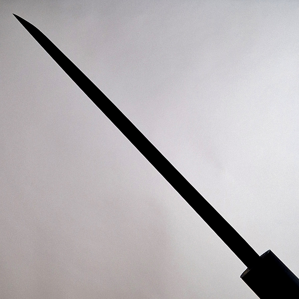 15cm Deba, Shirogami II - TOJIRO — bilde 3