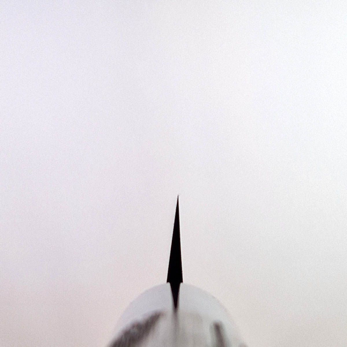 24cm Yanagiba, Shirogami II (Laminat) - SHIRO KAMO — bilde 6