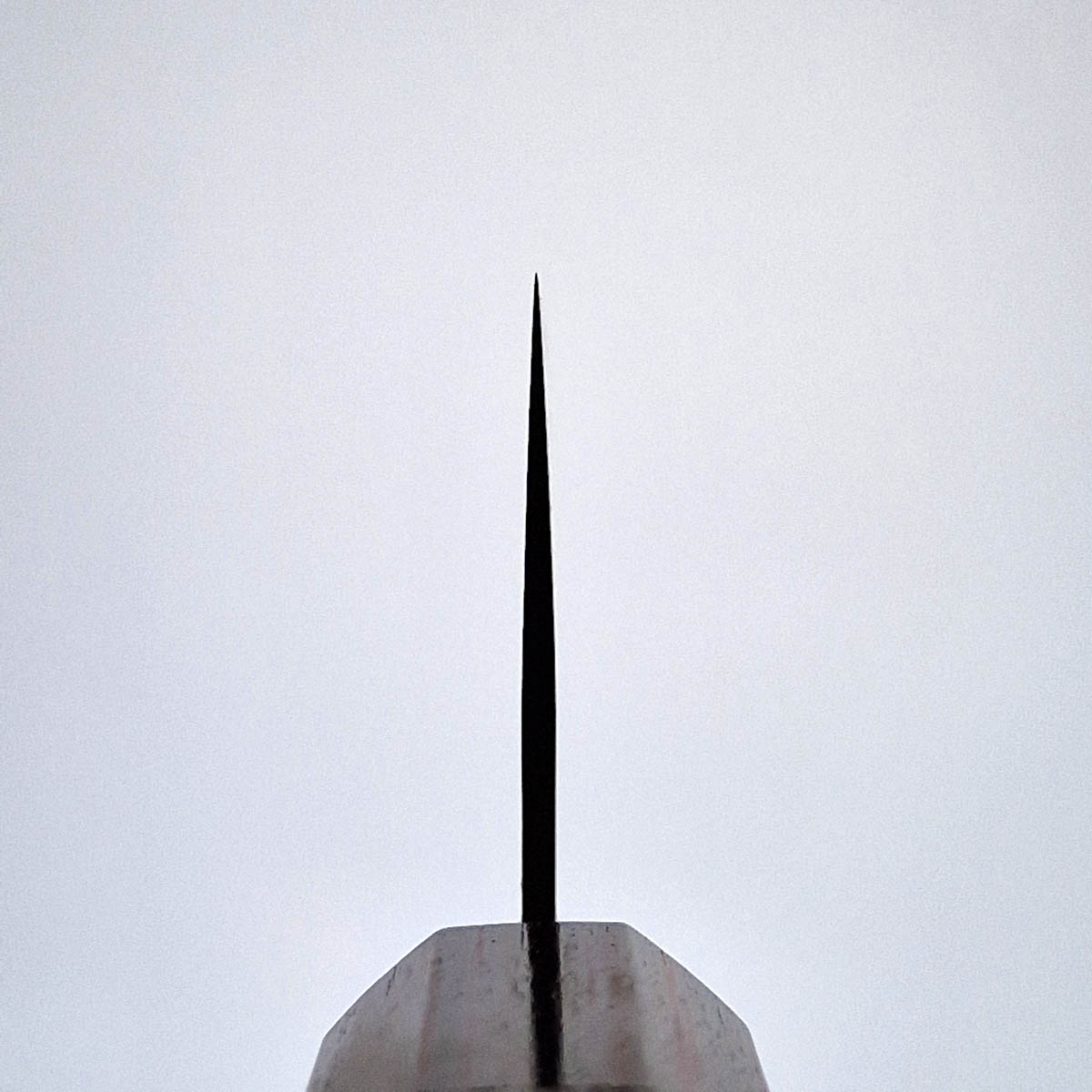 21cm Kiritsuke Suminigashi, SG2 - YOSHIMI KATO — bilde 4