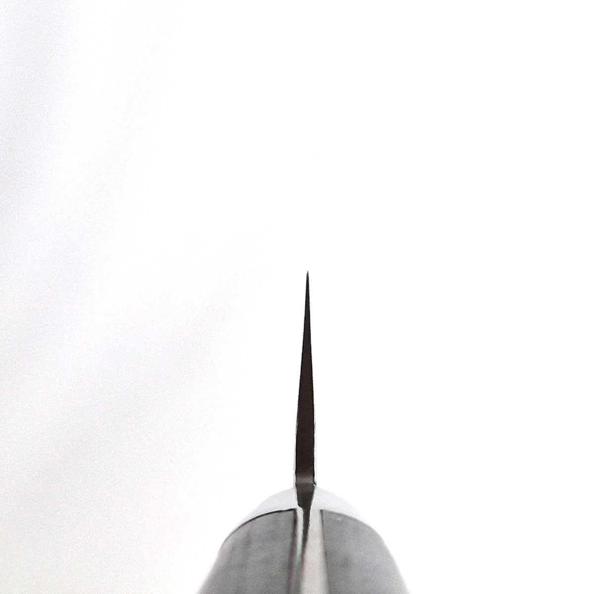 12cm Universalkniv Nashiji/hamret, V5 - SAKAI KIKUMORI — bilde 3