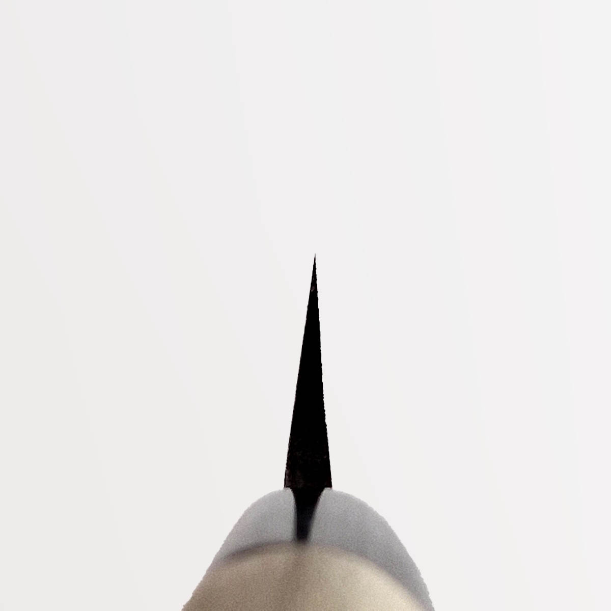 30cm Yanagiba, Shirogami II - TOJIRO — bilde 2