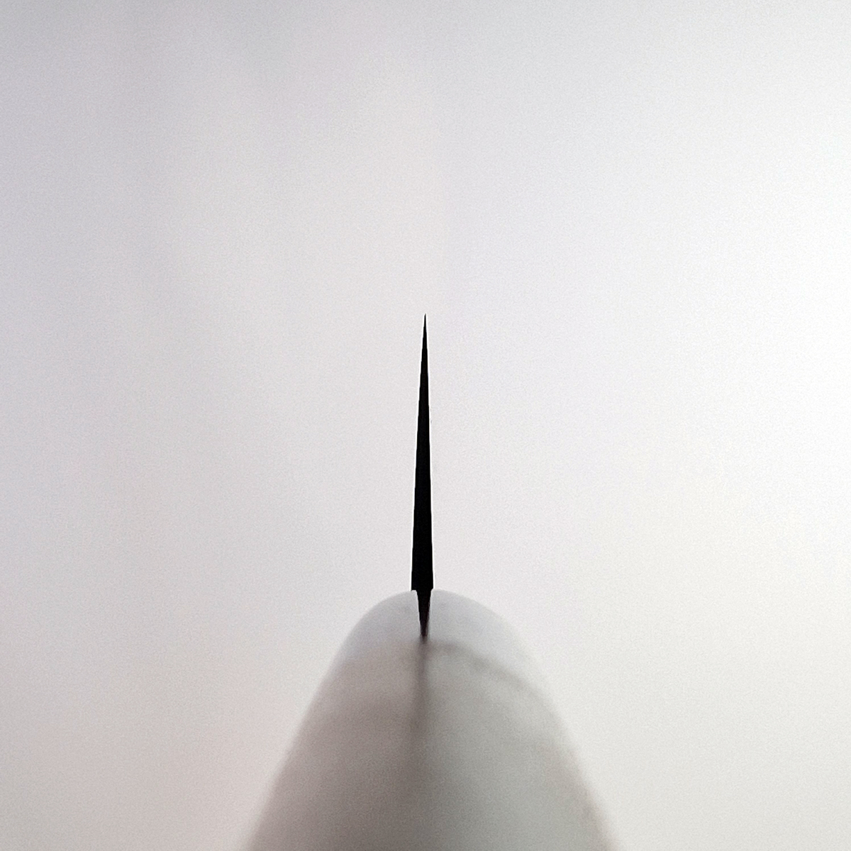 24cm Sujihiki, Shirogami II, inkl Saya - MASAMOTO — bilde 6