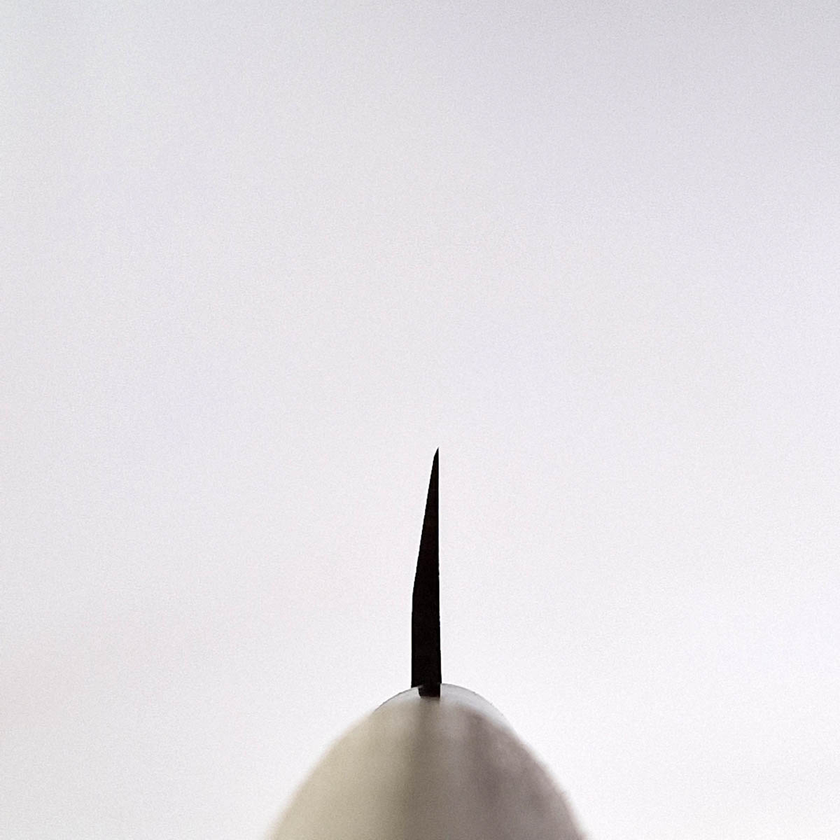 21cm Yanagiba - MASAHIRO — bilde 3
