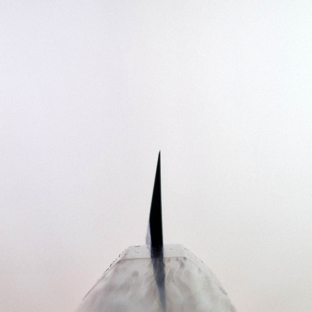 27cm Yanagiba, R2  Kotetsu - SHIBATA — bilde 3