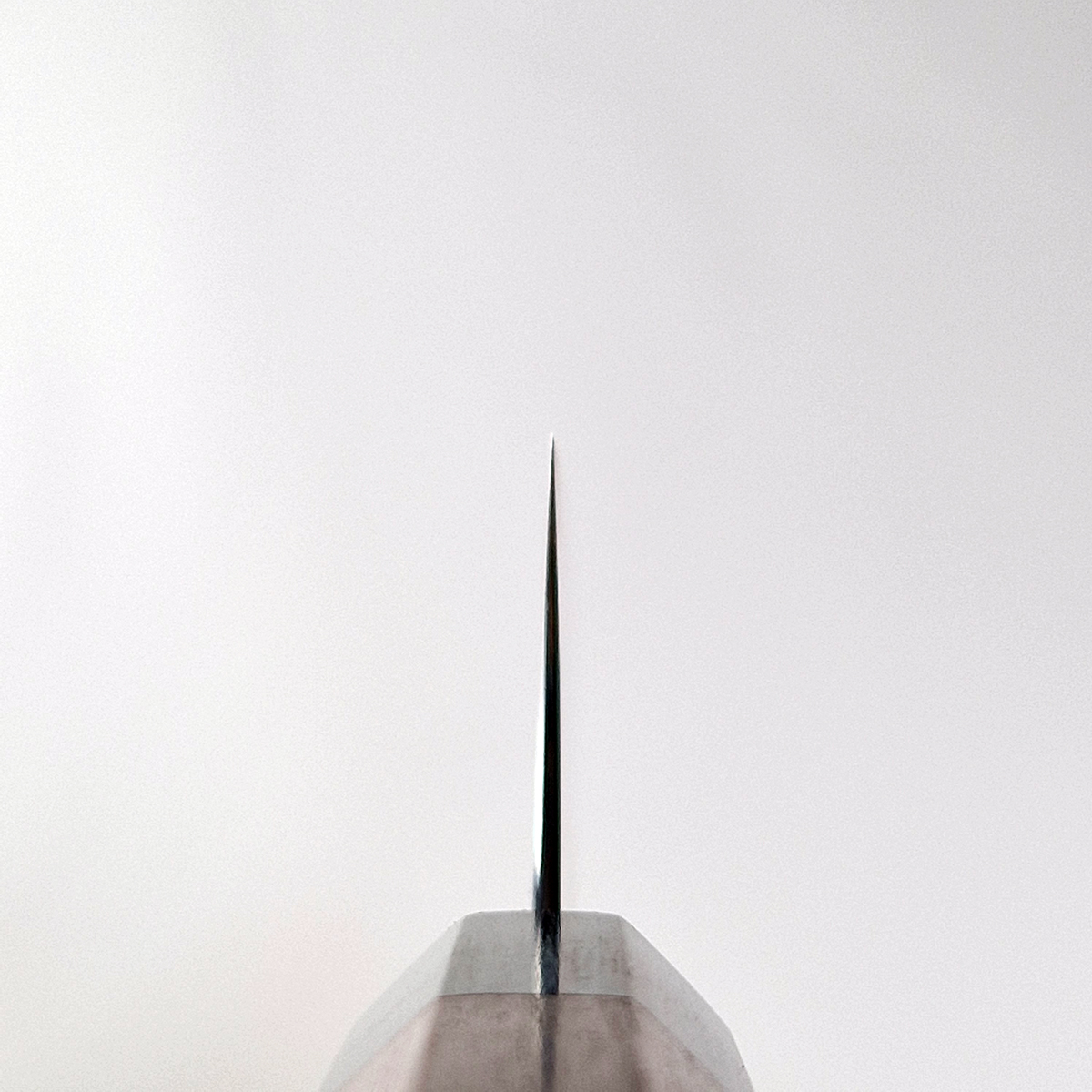 27cm Sujihiki R2 Kotetsu - SHIBATA — bilde 3