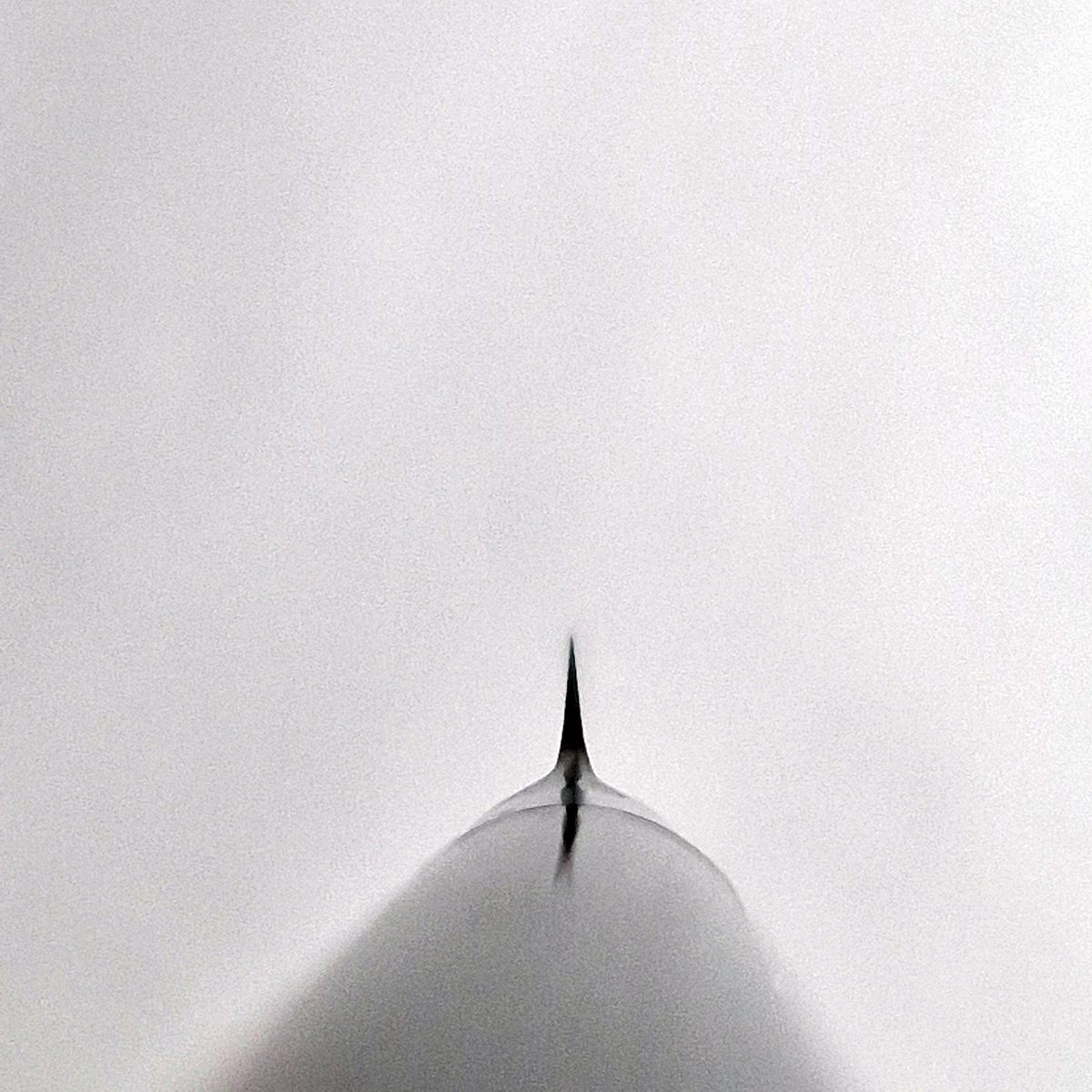 6cm Tourneringkniv - SHUN CLASSIC — bilde 3