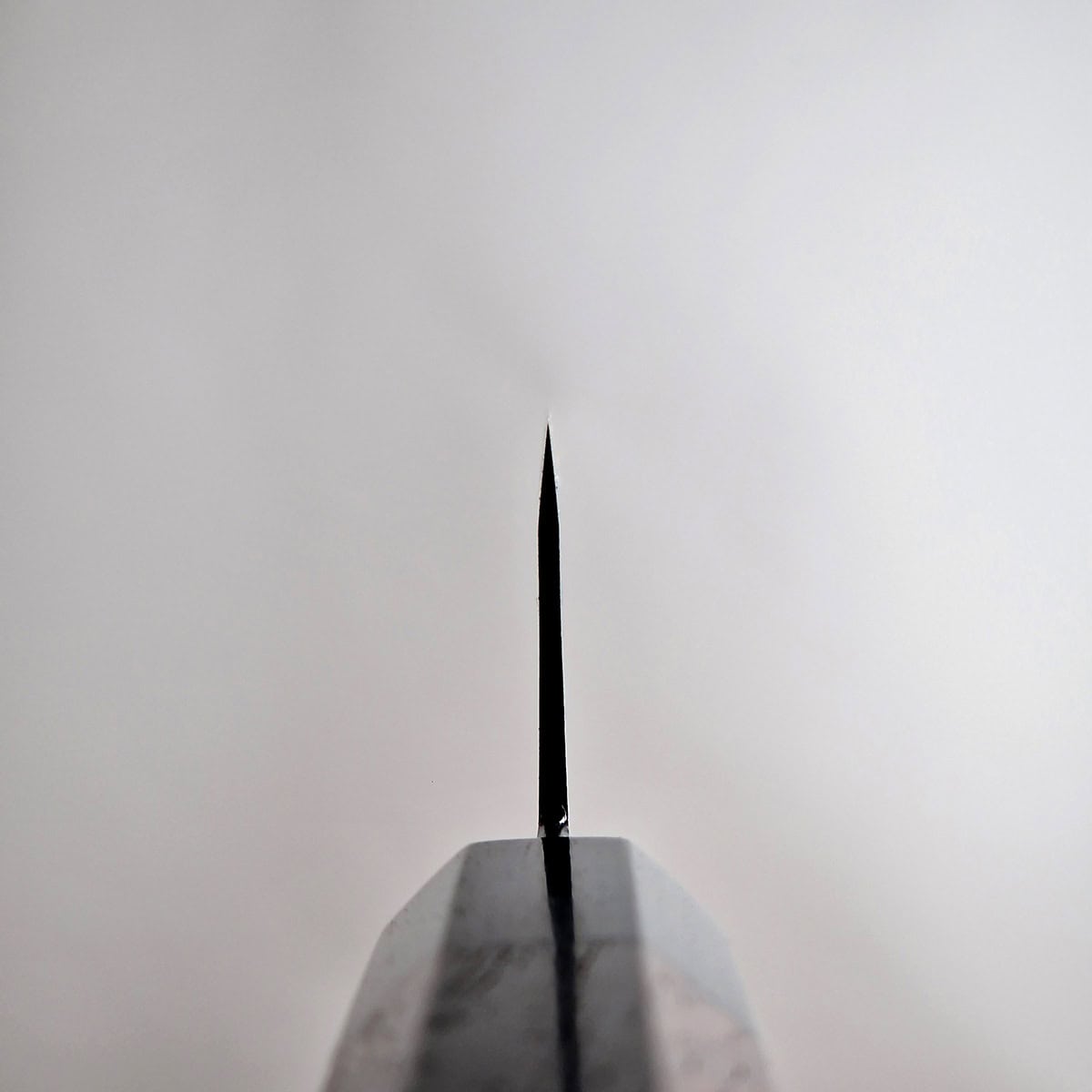27cm Sujihiki / Trancheringskniv, Super Aogami, NAS - TAKEDA — bilde 2