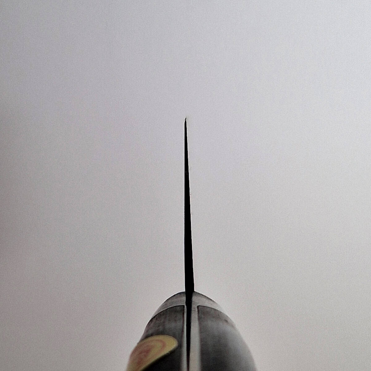 21cm Kokkekniv Nihonko, SK4 - SAKAI KIKUMORI — bilde 5