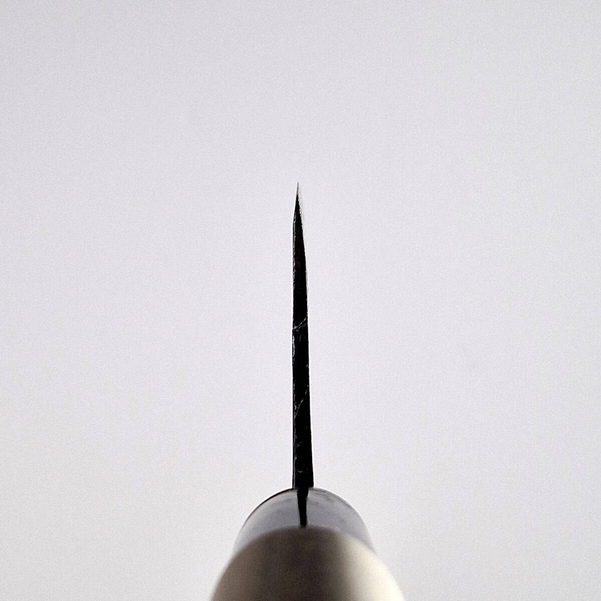 16,5cm Grønnsakskniv (Nakiri) Shirogami - No Factory — bilde 4