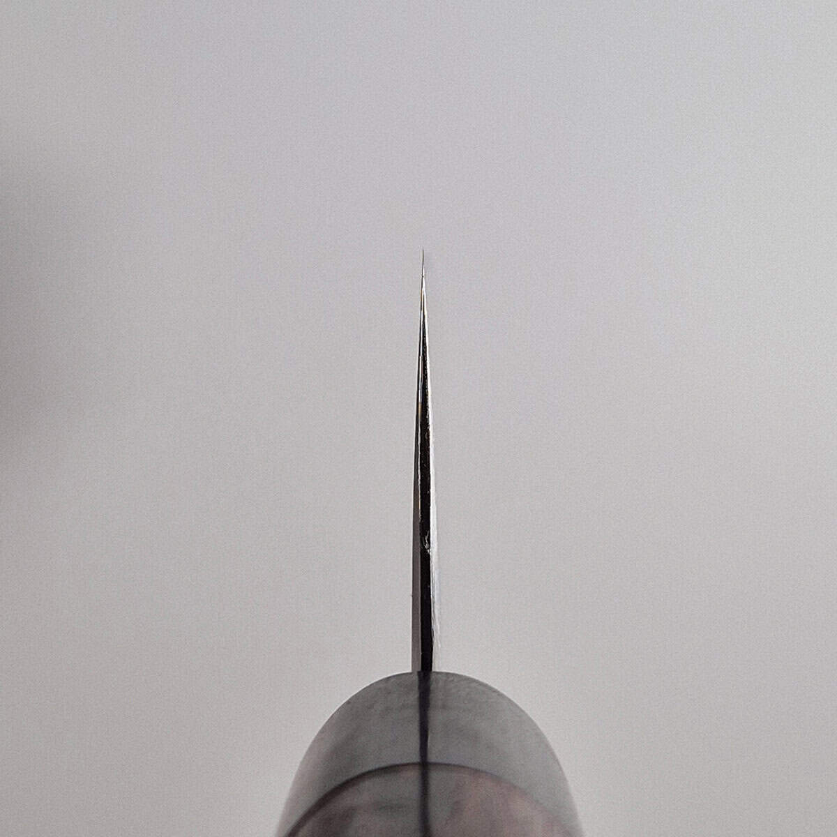 16,5cm Grønnsakskniv (Nakiri) Migaki, Super Aogami - HARUYUKI — bilde 4